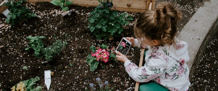 eclosion-enfant-jardin
